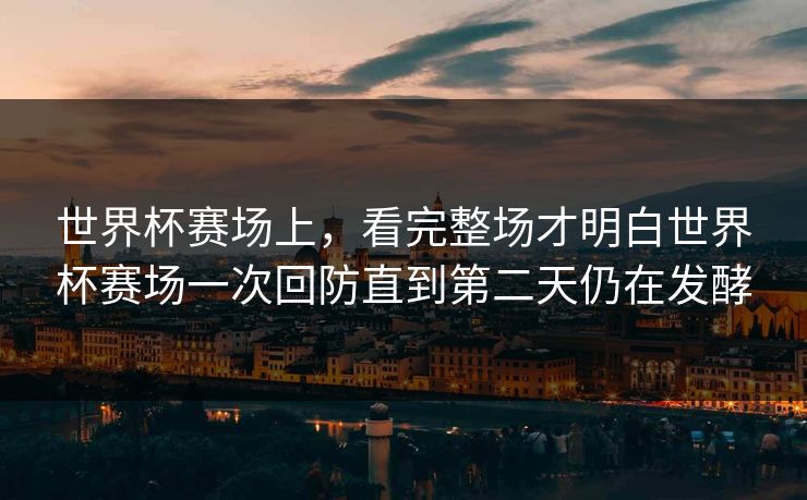 世界杯赛场上，看完整场才明白世界杯赛场一次回防直到第二天仍在发酵